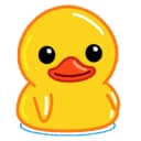Duck Code Logo