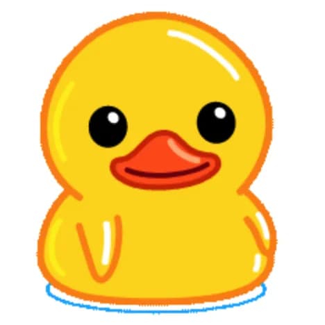 Duck Code Logo